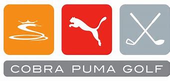 Cobra Puma Golf 